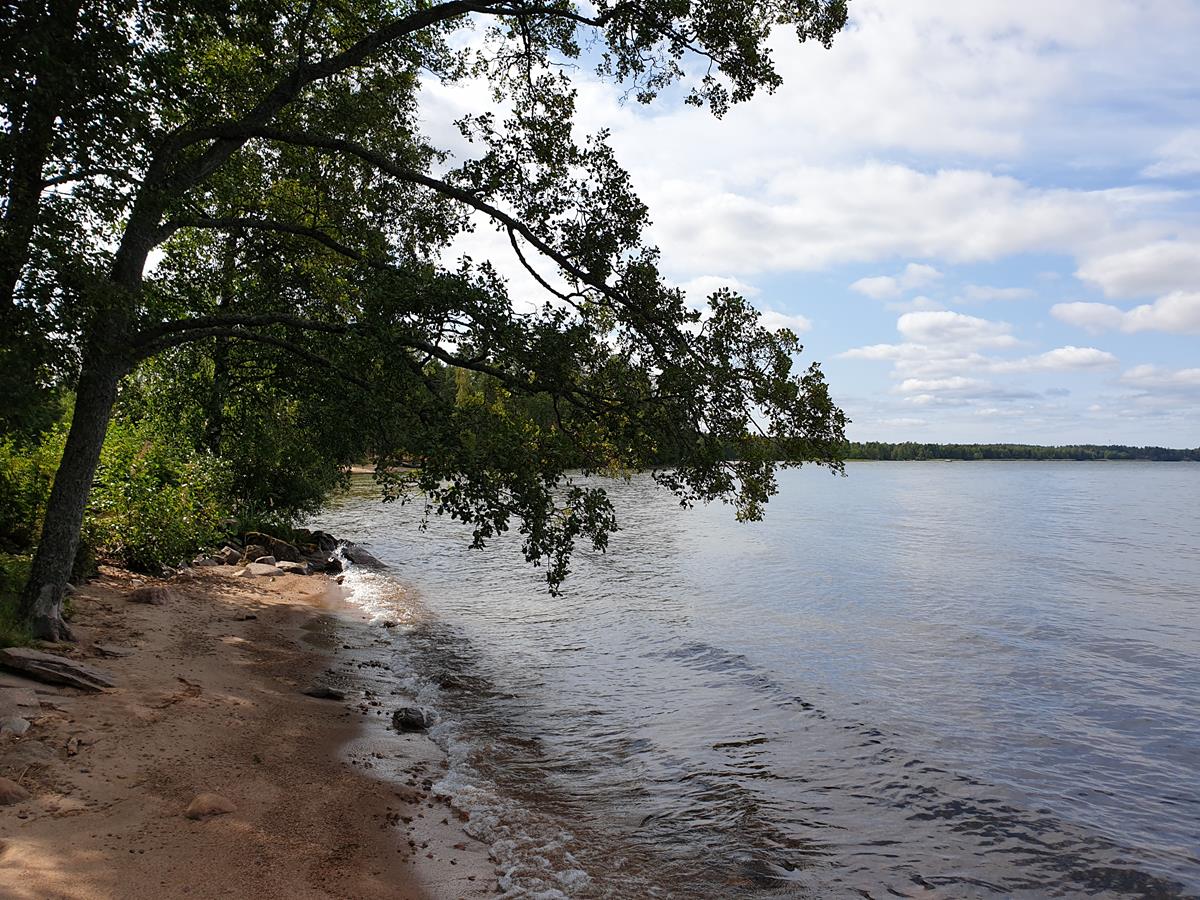 rantapaiva2019 04